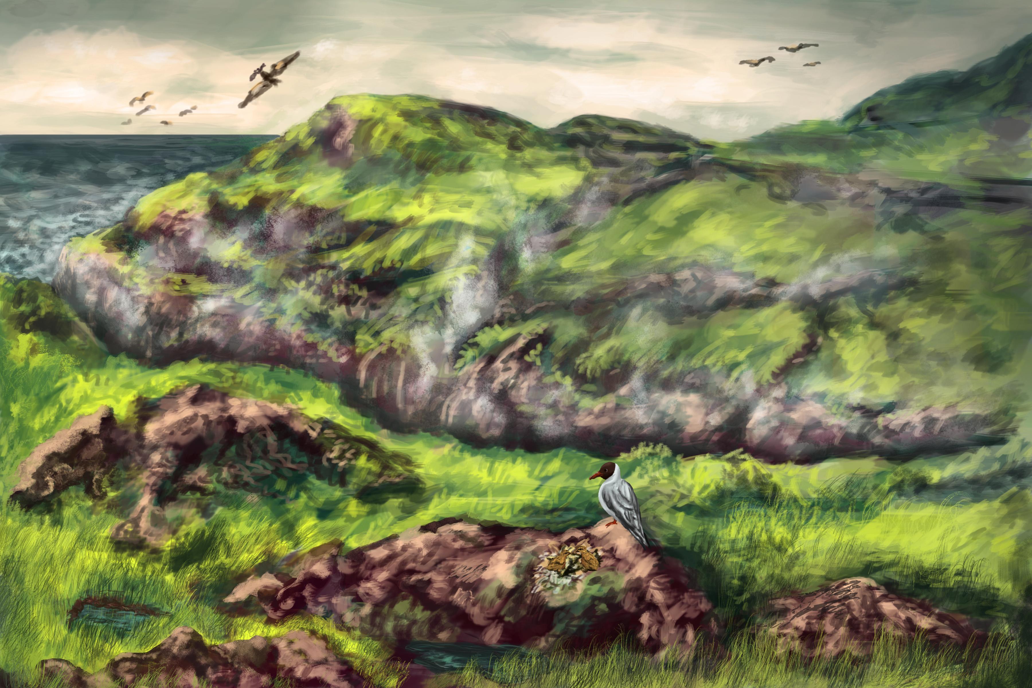 Grassy cliffs by the sea with birds